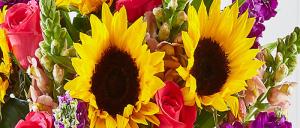 Ce-ti spun florile pe care le primesti?