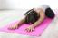 Exercitii Yoga de incalzire pentru incepatori